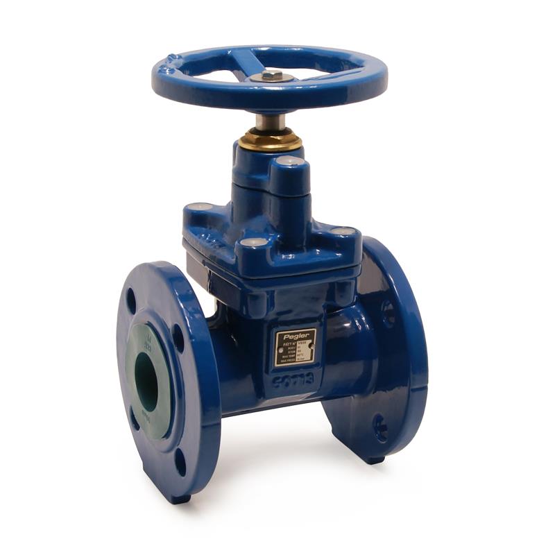 Pegler Gate Valve Dammam